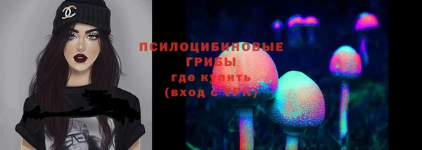 гидропоника Алексеевка