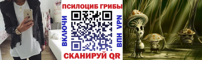 Псилоцибиновые грибы Magic Shrooms  купить закладку  маркетплейс Telegram  Трёхгорный 